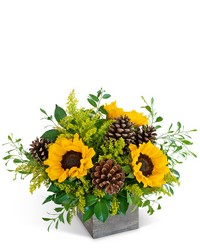 Harvest Sunburst from Schultz Florists, flower delivery in Chicago